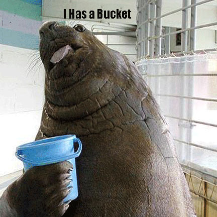 I Has a Bucket
