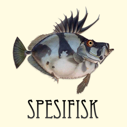 Spesifisk 1