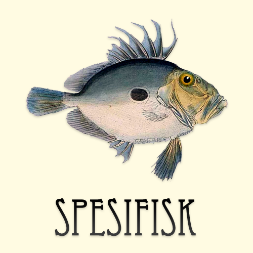 Spesifisk 2