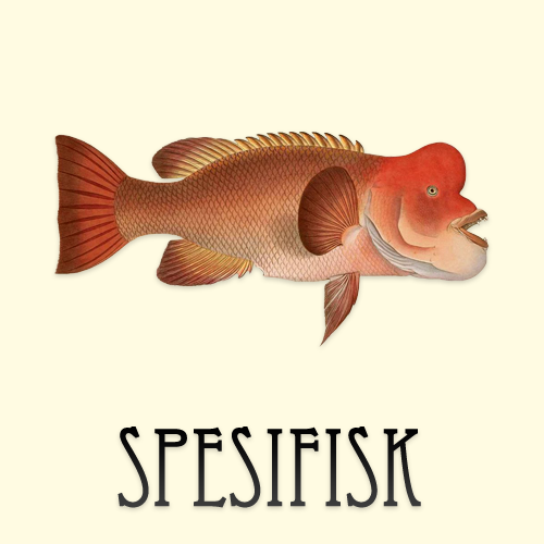 Spesifisk 3