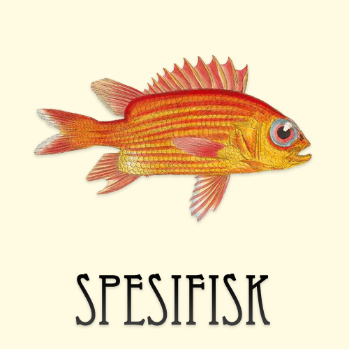 Spesifisk 4