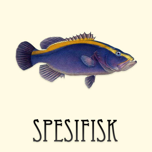 Spesifisk 5