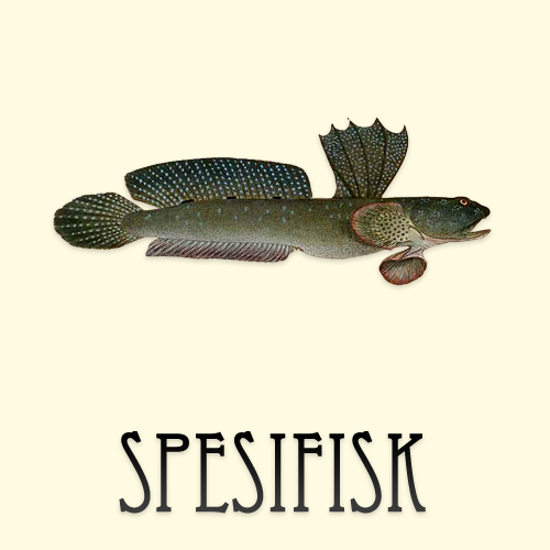 Spesifisk 6